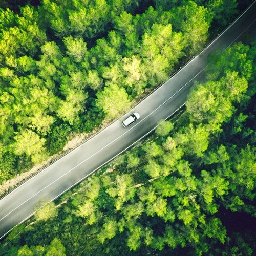 Soundtrack of Summer 2019 | Chaleur Region Playlist