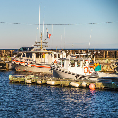 Top 9 things to do in Pointe-Verte and Nigadoo | Summer 2021