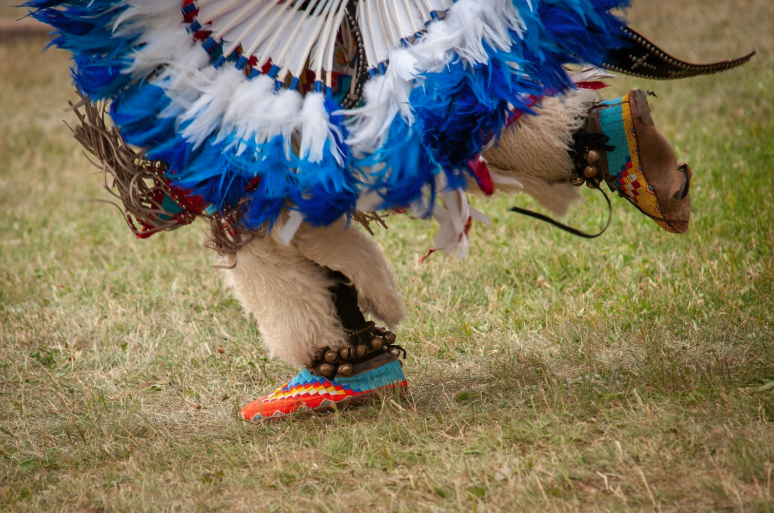Indigenous Celebration and Discovery Day