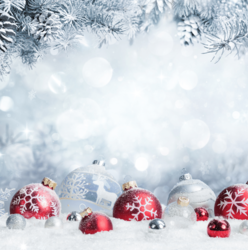 Christmas in the village