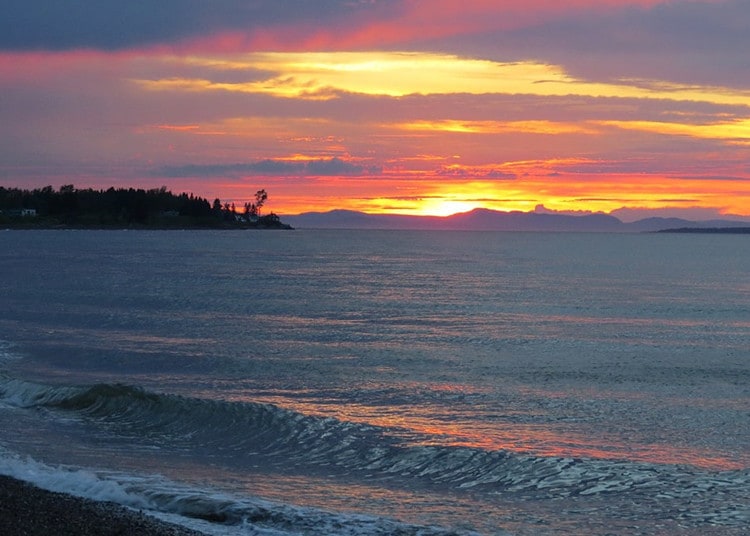 Belledune