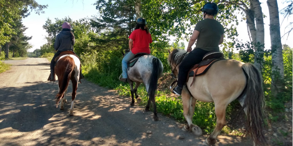 Écurie Horse Heaven