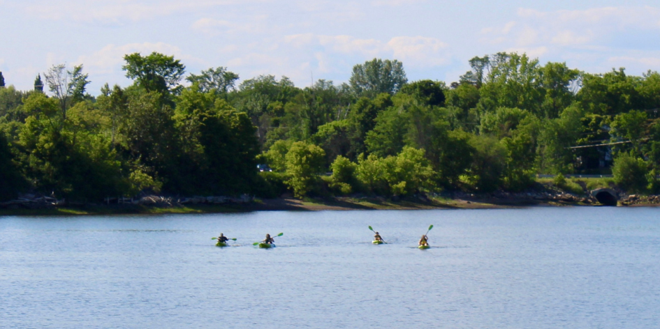 ECA Rentals - Downtown Bathurst