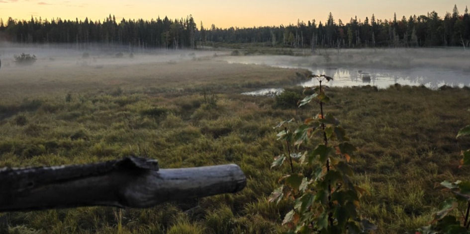 Bear Lodge Outfitters